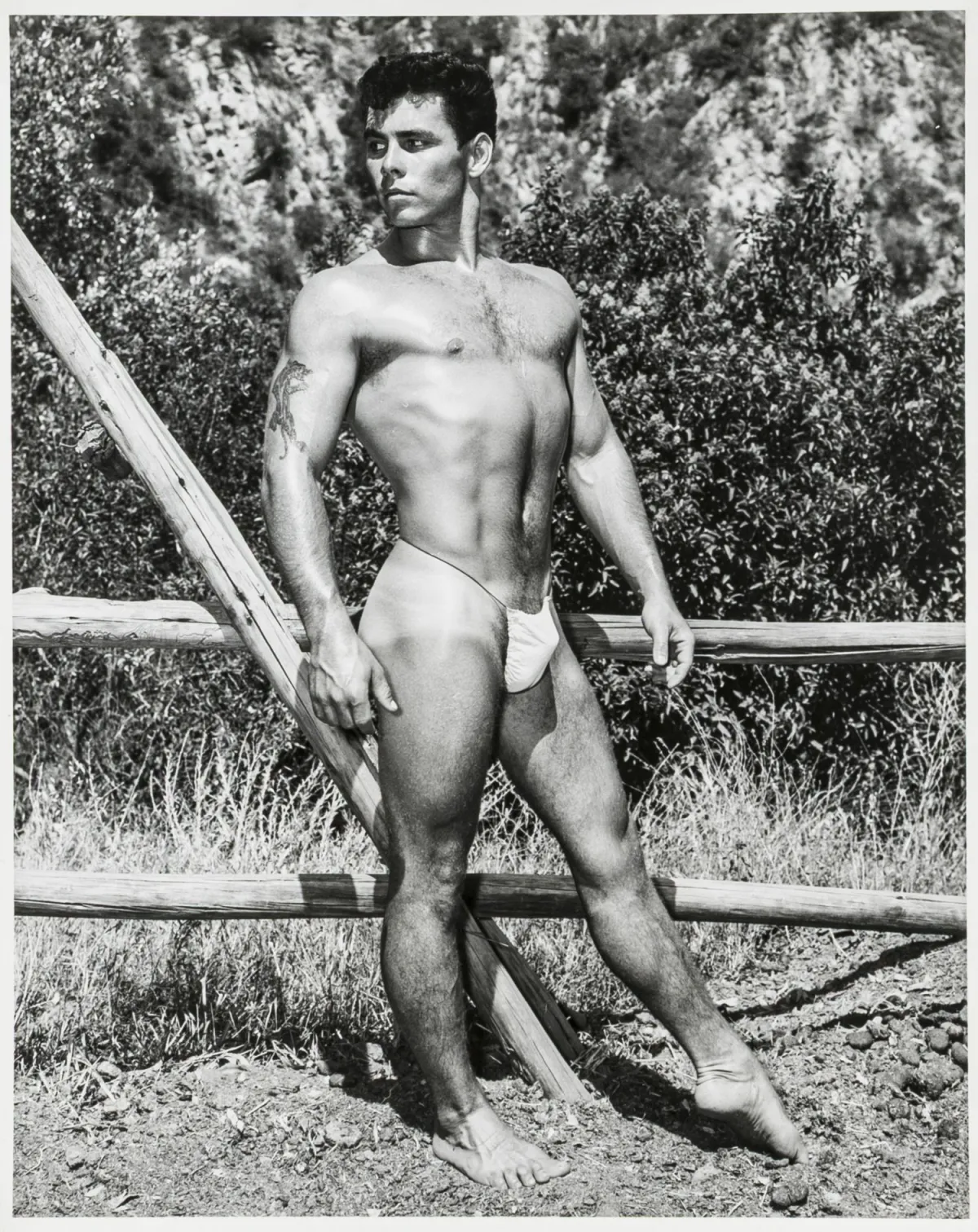 同性恋 - LGBTQ – Bruce of Los Angeles（即：Bruce Bellas）。男性裸体。两张银盐明胶照片。复古。