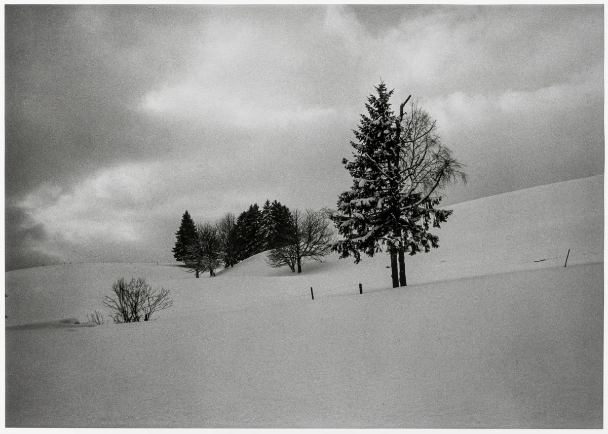 Klemm, Barbara – Southern Black Forest 2005. Original photograph. Vintage. Silver gelatin.
