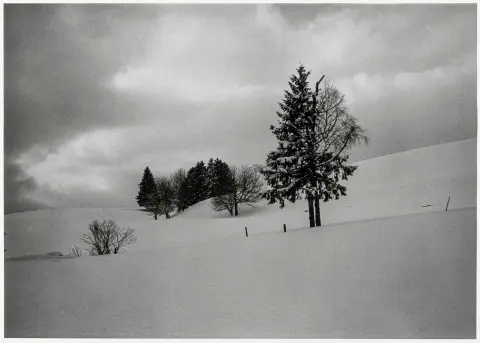 Klemm, Barbara – Forêt-Noire du Sud 2005. Photographie originale. Vintage. Gélatine argentique.