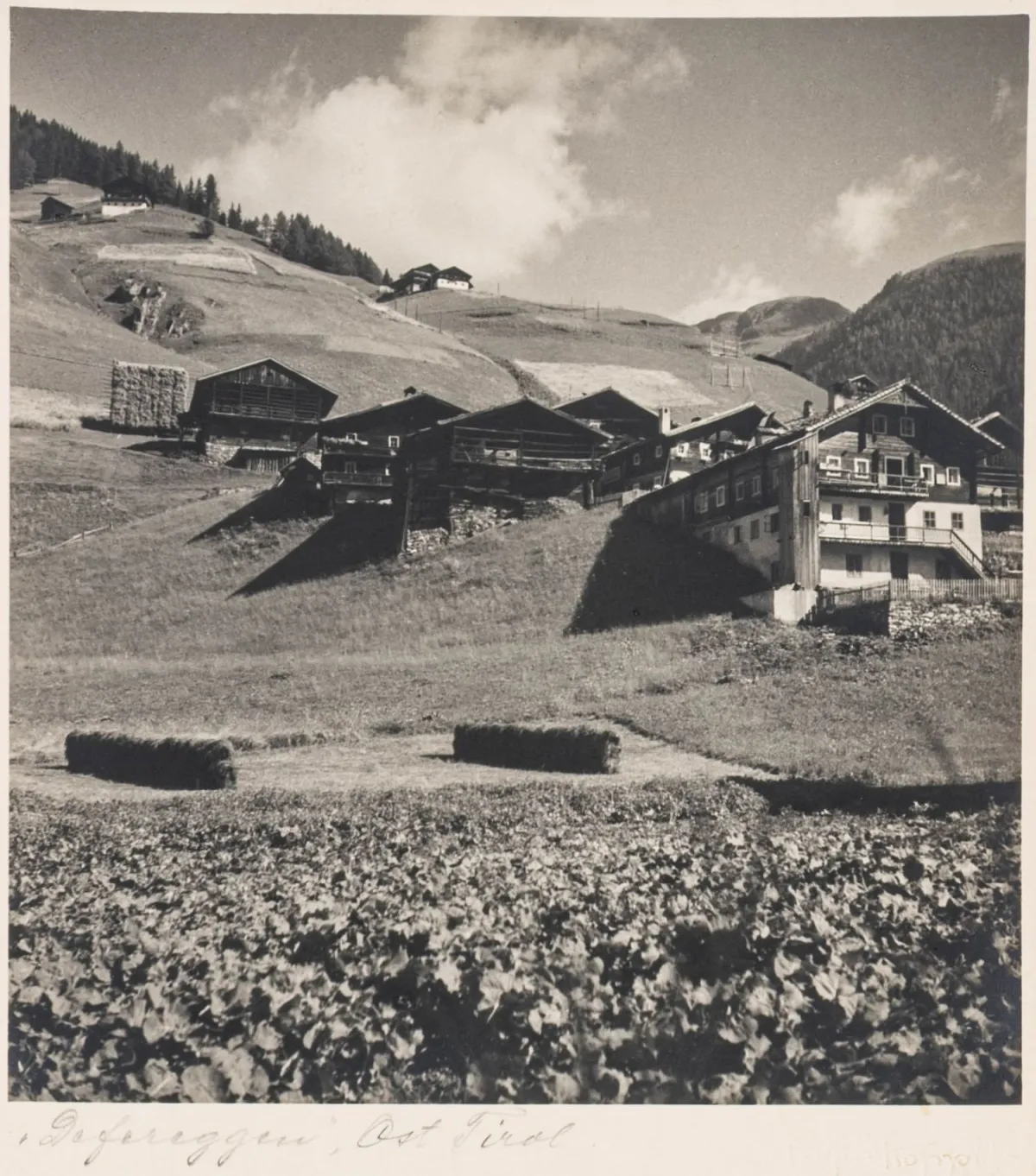 Koppitz, Rudolf – 4 张照片合集。明信片上的溴化银明胶印相。复古。