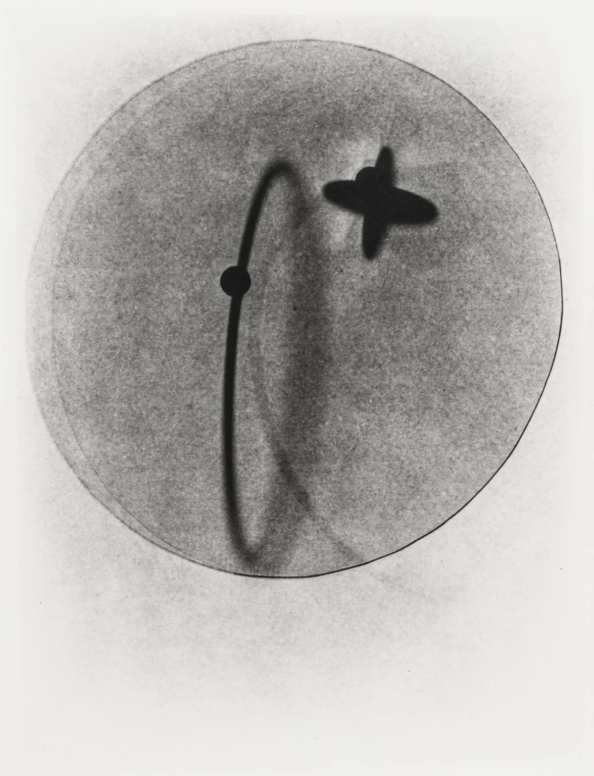 Moholy-Nagy, Laszló – Sans titre. Photogramme positif sur carton
