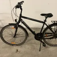 Herresykkel (Pegasus)