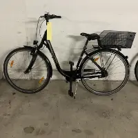 Bicicleta de mujer (Pegasus)
