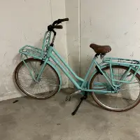 Bicicleta holandesa (otros)