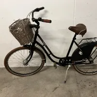 女式自行车（其他）