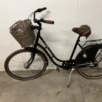 Bicicleta de mujer (otros)