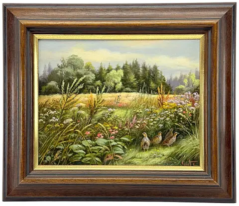 Erich Graf, perdrix dans une prairie fleurie d'été en bord de champ