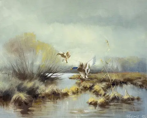 Höppner, Canards colverts en vol au-dessus d'un paysage de marais, 1982