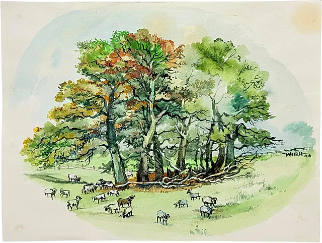 Martin Wirth, Hof Tütsberg in de Lüneburger Heide, boomgroep met grazende heideschapen, 2006