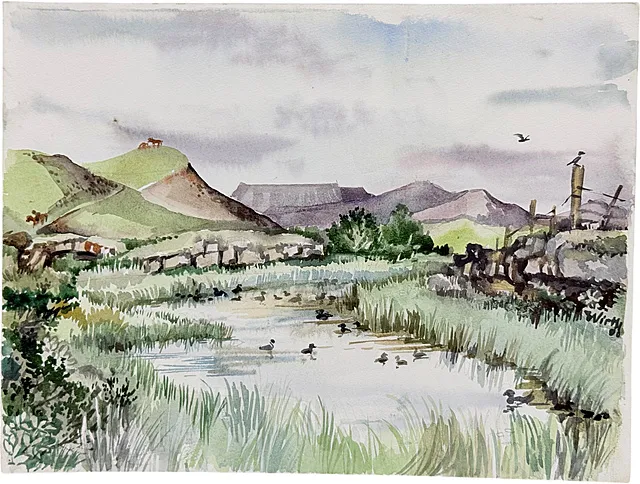 Martin Wirth, IJsland, watervogels bij het Mývatn, eenden tussen riet voor een bergachtergrond, 2000