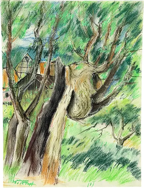 Martin Wirth, Saule pleureur noueux à l'étang d'Ütschen à Darlingerode, étude d'arbre en lisière du Harz