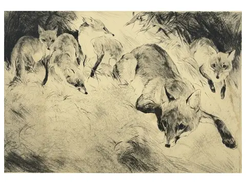 Kurt Meyer-Eberhardt, renarde avec quatre petits sur un versant herbeux