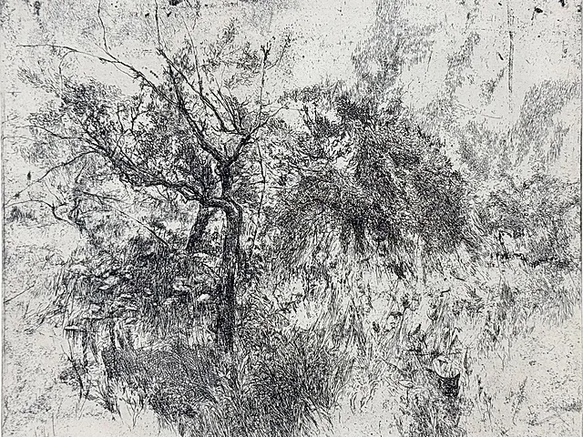 Gisela Kohl, „Giardino“, albero e cespugli in fitta vegetazione da giardino, 1978