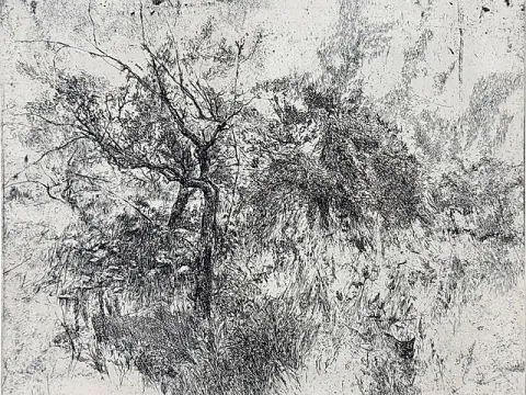 Gisela Kohl, « Jardin », arbre et buisson dans une végétation dense, 1978