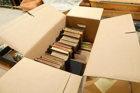 Lot de livres