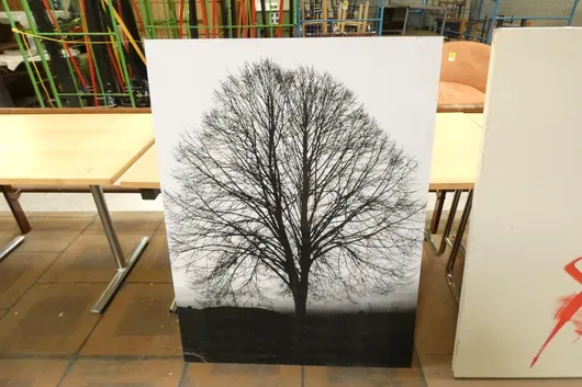 Černobílá fotografie