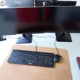 2 24"-Monitore Fabr.: Terra