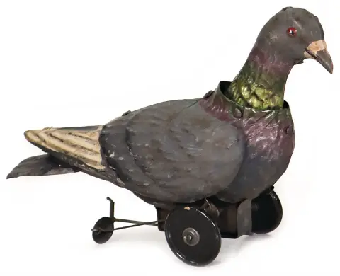 Pigeon, tôle