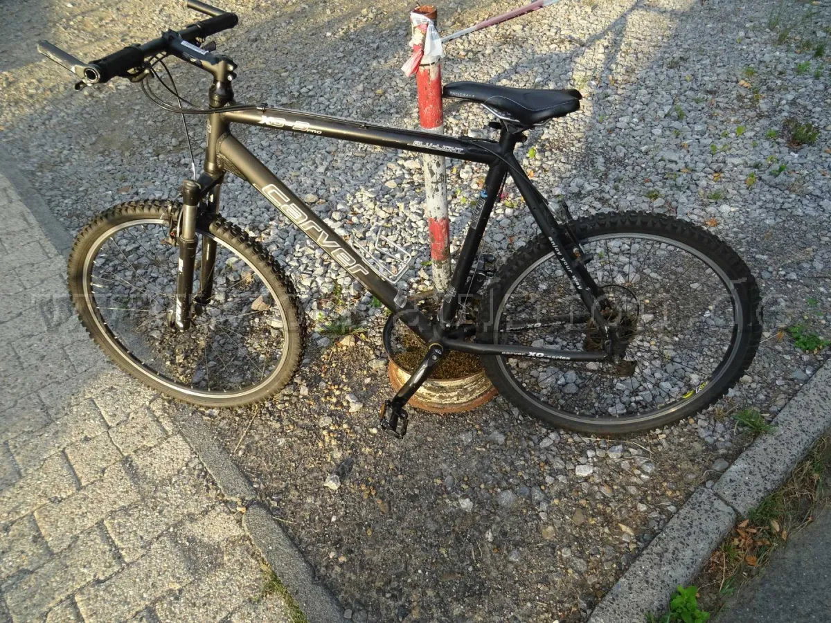 1 辆 Carver X03 Pro 自行车，29 英寸，黑色