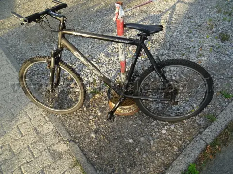 1 Fahrrad Carver X03 Pro, 29 Zoll schwarz