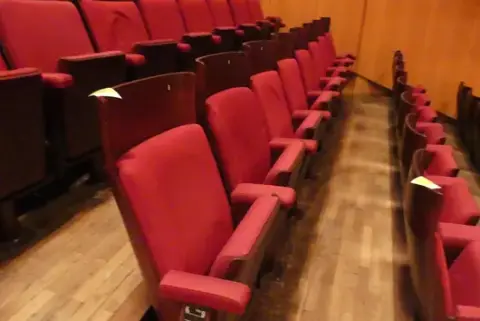 Tiyatro/salon koltukları, 8 oturma yeri, dolgulu katlanır koltuklar, kırmızı/kahverengi