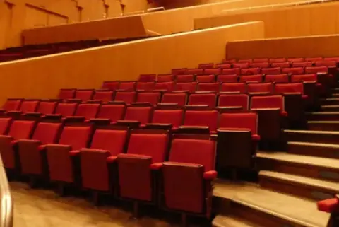 Tiyatro/salon koltukları, 8 sıra, her biri 8–10 koltuk, dolgulu katlanır koltuklar, kırmızı/kahverengi