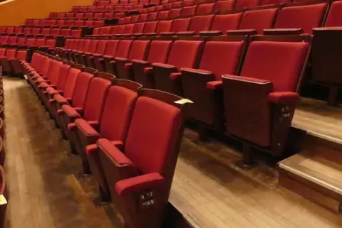Tiyatro/salon koltukları, 2 sıra, dolgulu katlanır koltuklar, kırmızı/kahverengi