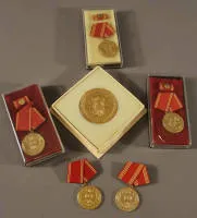 东德内政部武装机构忠诚服务奖章，1949-1989