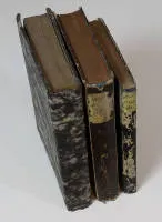 مجموعة الجريدة الرسمية ميرزيبورغ في ثلاثة كتب، السنوات 1842–1889