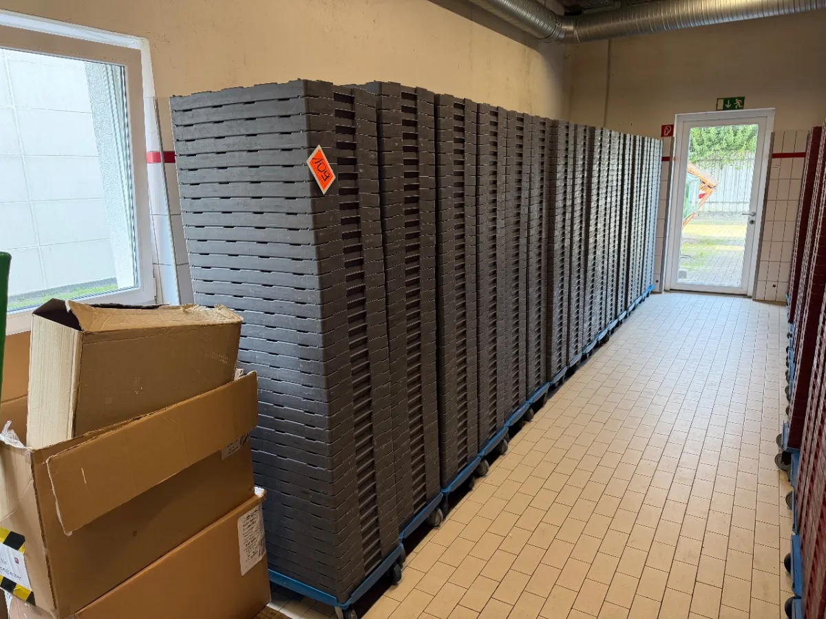 Posten Dielen (31x 38 Dielen)