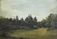 Hilde Fischer, 1881. – isto mjesto, pogled na šumsku čistinu