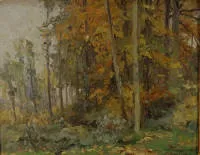 Victor Wagenmachers 1876-1953, pohled do lesa