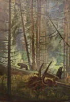 Hannes H., Zwei Braunbären im Wald