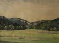 Fritz Schickedanz 1915-72, Paesaggio della Germania meridionale