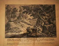يوهان إلياس ريدينغر 1698-1767، مشهد صيد