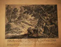 Johann Elias Ridinger 1698-1767, jachttafereel