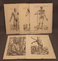 Andreas Vesalius (1514-1564), médico de Carlos V, "Humani corporis fabrica libri septem", Basilea 1543