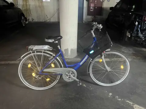 1 original Winora Damen-Fahrrad, 25 Zoll