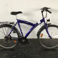 Bici da uomo (altro)
