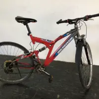 Mountain bike (McKenzie)