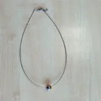 Ketting/armband (roestvrij staal)