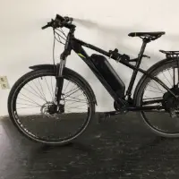 Bici elettrica da uomo (Prophete)