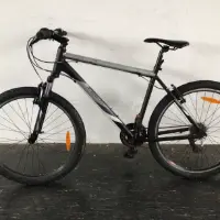 Bicicleta de montaña (Serious)