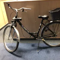 Bicicleta de mujer (Bocas)