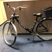 Bicicleta de mujer (Bocas)