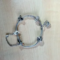 Catena/bracciale (argento)