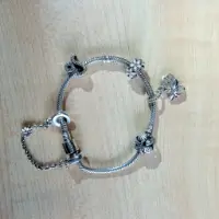 Catena/bracciale (argento)