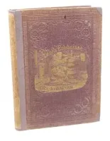 世界旅行者或E. K. Kane博士在四大洲的经历，由J. A. Kutzner编辑，莱比锡Otto Spamer出版社，约1900年，有年代痕迹