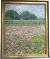 匿名花草地,油画/亚麻布,带框,RG 69x57厘米