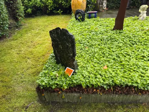 Natursteinsstele / hagestein